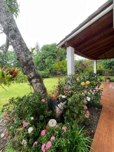 Garden, hacienda day pass alvarez & jacobs in Juan Dolio