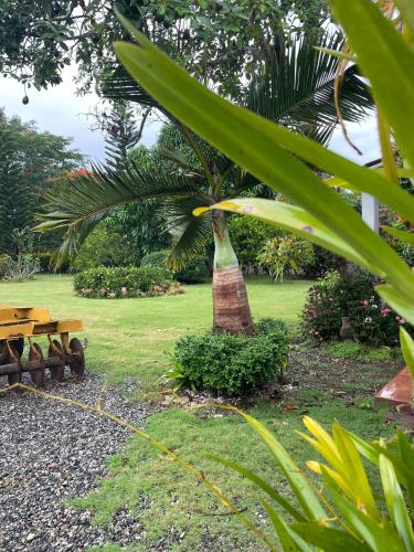 Garden, hacienda day pass alvarez & jacobs in Juan Dolio