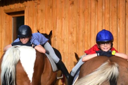 Biobauernhof Tonimörtl - image 8