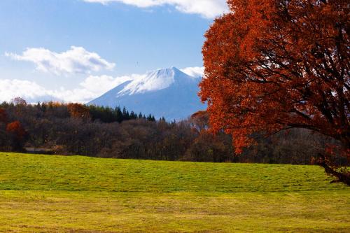 MOBILITA COURT IWATE