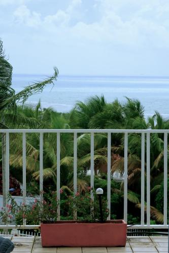 منظر, A Seascape Guest Room in Fajardo