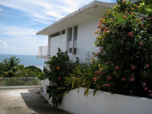 A Seascape Guest Room in Fajardo