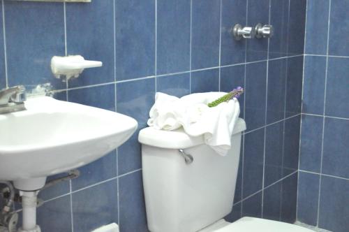 Hotel Viena in Irapuato, Mexico