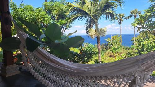 ทัศนียภาพภายนอกโรงแรม, ฟรานจิพานี อินน์ แอนด์ เรสเตอรองต์ (Frangipani Inn & Restaurant) in อาเมด