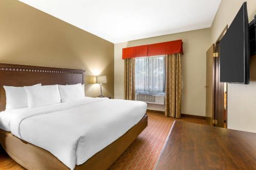 Comfort Inn West Phoenix at 27th Ave and I-I0 - image 7