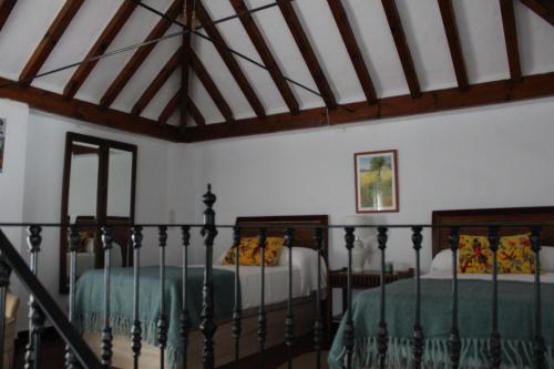 Finca la Sabina, Olvera in Pruna