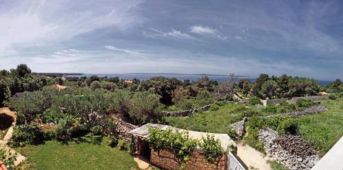  Apartment Dita in Silba