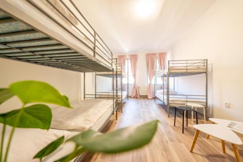 Party Hostel Kralikarna in Mikulov