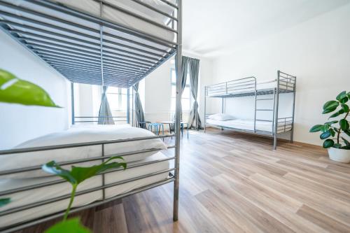 Party Hostel Kralikarna in Mikulov