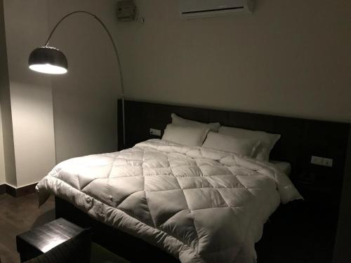 Hotel Rajmahal Inn