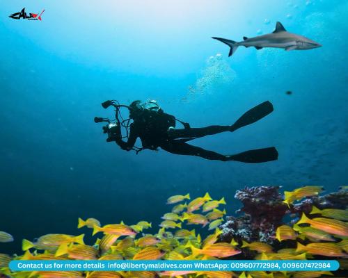 Liberty Guesthouse Maldives