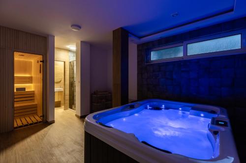 Gyógyfürdő, Villa Zoe Retreat in Denovici