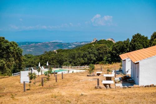 Agriturismo Cultisia Luogosanto in Luogosanto