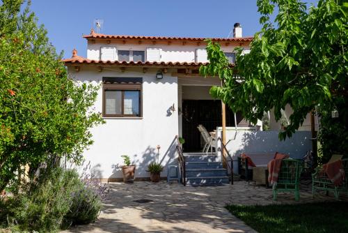 Salt & Sol in 聖米納