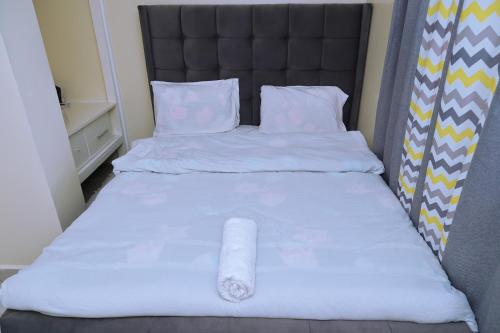 Mareva Homes 1bedroom Thika town Ample parking wifi fridge microwave and all kitchen appliances in תיקה