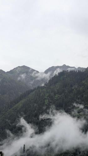 Alpine homes in Manikaran