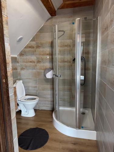Apartamenty z własnym stawem nad jeziorem (Apartamenty z wlasnym stawem nad jeziorem) in Ryn