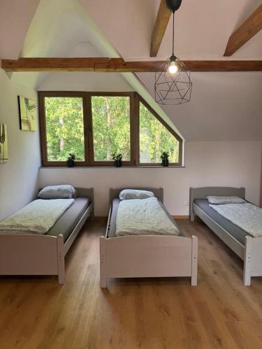 Apartamenty z własnym stawem nad jeziorem (Apartamenty z wlasnym stawem nad jeziorem) in Ryn