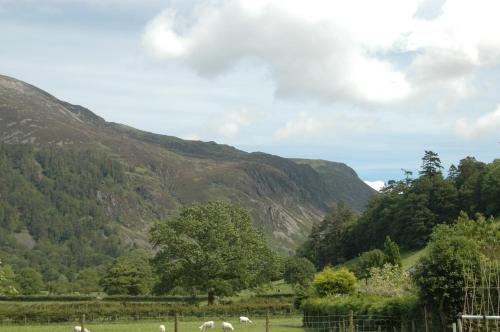 Dolffanog Fawr