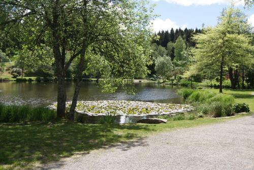 Hotel Nitzschke - image 3