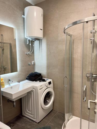 One-Bedroom Apartment image 10