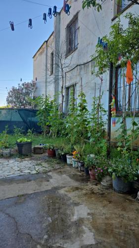 People house, Tirana (photo 10)