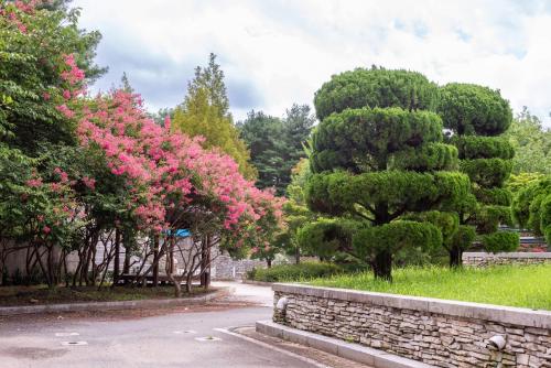 Gurye Jiri Mt Resort in Gurye-gun