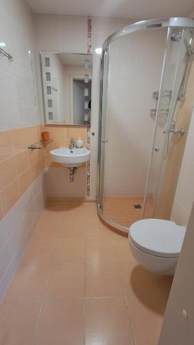 Studio Apartment image 7