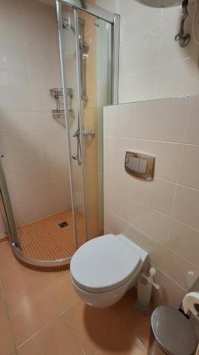 Studio Apartment image 6