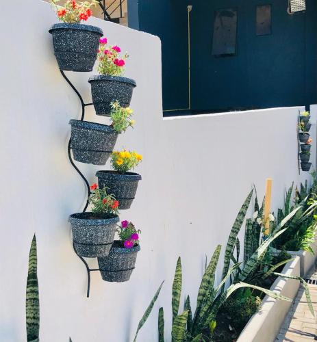 Hotel Luis Pablo in เอนคาร์นาซิยอน