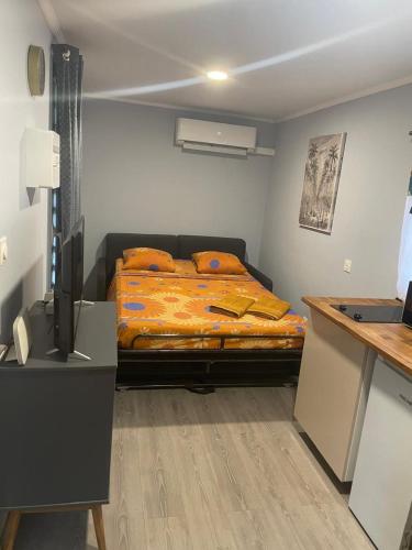 Logements en pleine nature, a 15min du centre ville - Studio ou T2 in Kourou