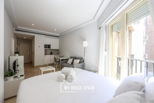 MyHouseSpain - Luminoso estudio cerca del Retiro, Madryt (zdjęcie 10)