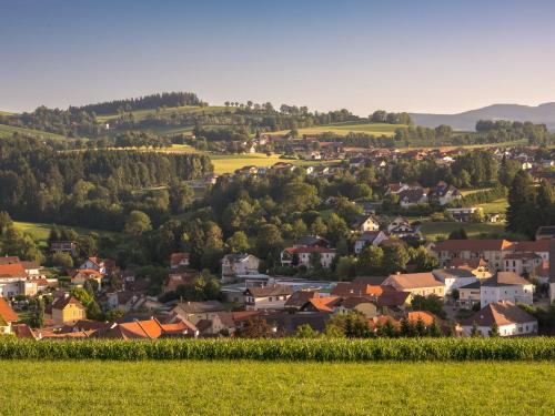 Ümbrus, ,, Fuchs " in Mönichwald