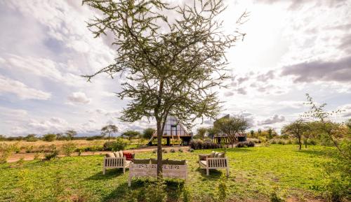 Nanare Chalets Amboseli in Merueshi
