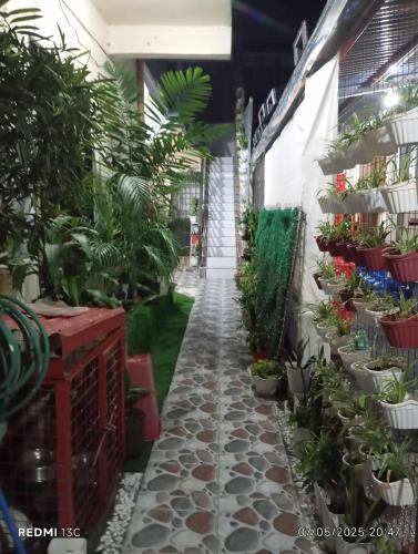 Parayno's Residence in Marikina 2, Манила (фото 3)