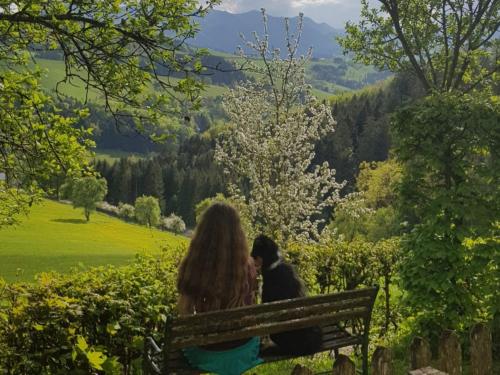 周邊環境, Naturparadies am Sonntagberg in 伊布斯河畔魏德霍芬