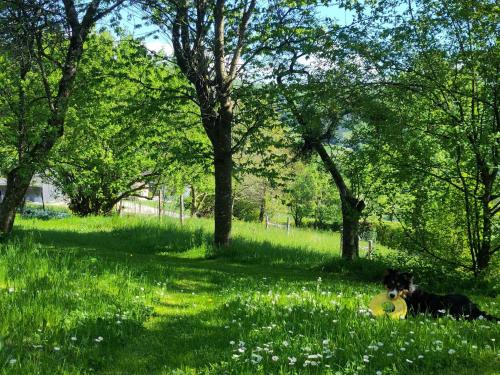 周邊環境, Naturparadies am Sonntagberg in 伊布斯河畔魏德霍芬
