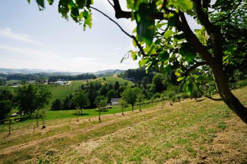 Навколишнє середовище, Brioni Hills - Premium Escape in Смар'є прі Єлса