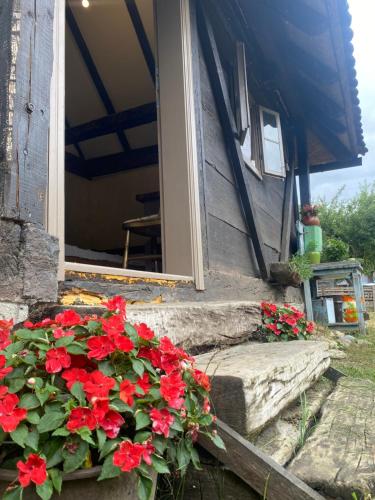 Etno vajati Perućac (Etno vajati Perucac) in Perućac