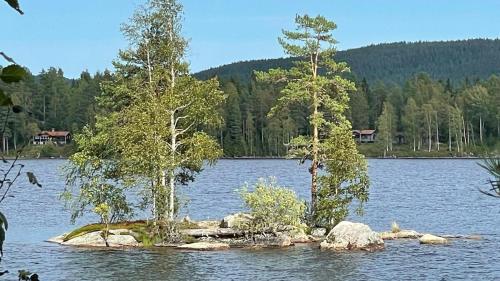 Beloni 122 in Laggasen