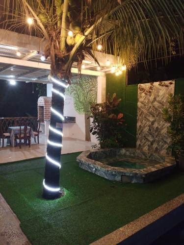 Relax in the Amazon, Tena in Palora