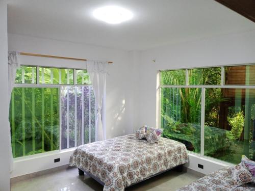 Relax in the Amazon, Tena in Palora