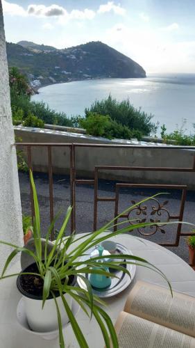 La Casa di Tina in Sant'Angelo