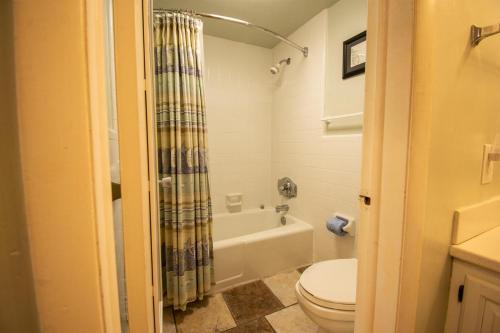 504 Sunsuite - Studio - image 34