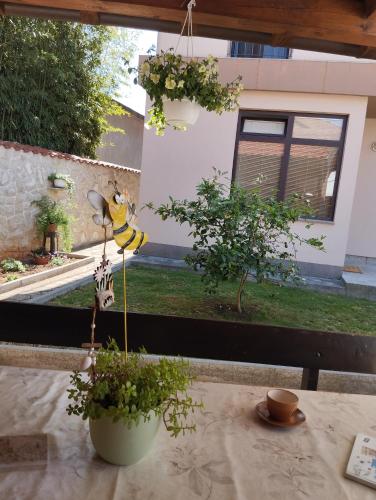 Apartmani Zara & Duje 5