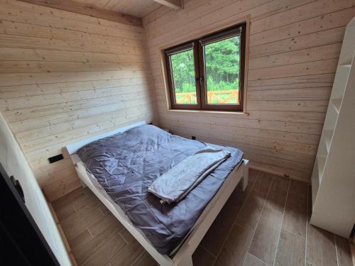 Domek w Skolitach