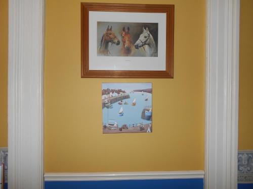 Cranborne Guest Accommodation - image 13