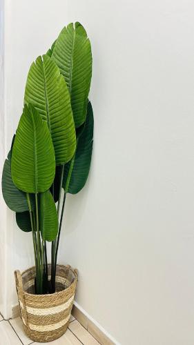 Exquisite Home & Living in Manzini