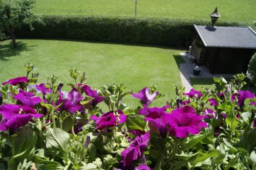 Apartments Laimer am Wolfgangsee