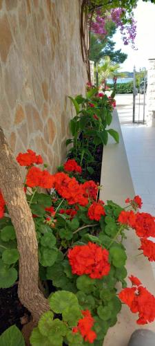 Villa Malisko Room Type - Apartment with Balcony